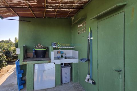 Landejendom i Xeraco, Valencia, Xeraco - € 93.000 | Ref: PNPT286 - foto 4