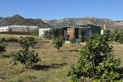 Landejendom i Xeraco, Valencia, Xeraco - € 93.000 | Ref: PNPT286 - foto 11