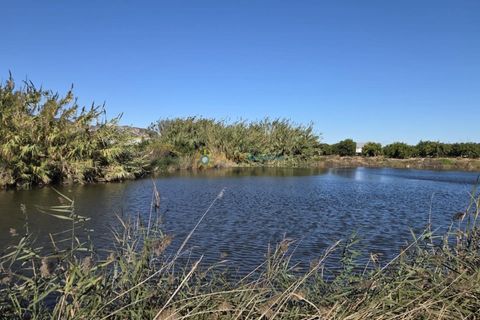 Landejendom i Xeraco, Valencia, Xeraco - € 93.000 | Ref: PNPT286 - foto 23