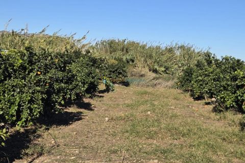 Landejendom i Xeraco, Valencia, Xeraco - € 93.000 | Ref: PNPT286 - foto 20