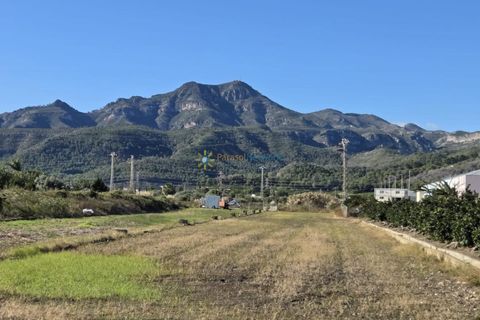 Landejendom i Xeraco, Valencia, Xeraco - € 93.000 | Ref: PNPT286 - foto 15