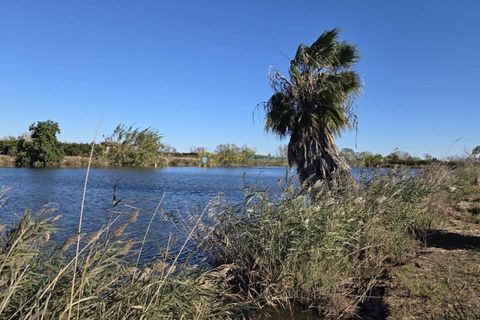 Landejendom i Xeraco, Valencia, Xeraco - € 93.000 | Ref: PNPT286 - foto 24