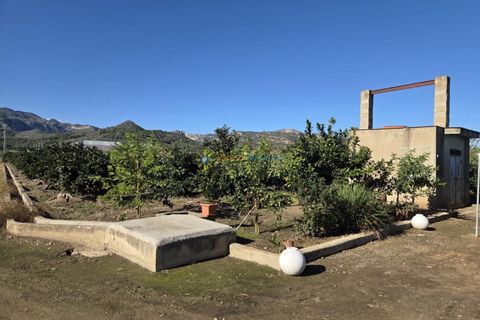 Landejendom i Xeraco, Valencia, Xeraco - € 93.000 | Ref: PNPT286 - foto 16