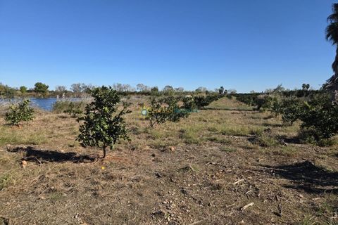 Landejendom i Xeraco, Valencia, Xeraco - € 93.000 | Ref: PNPT286 - foto 19