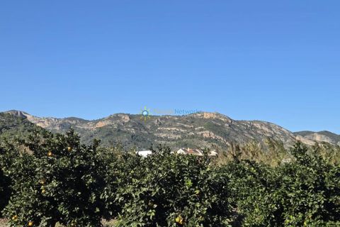 Landejendom i Xeraco, Valencia, Xeraco - € 93.000 | Ref: PNPT286 - foto 26