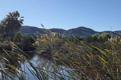 Landejendom i Xeraco, Valencia, Xeraco - € 93.000 | Ref: PNPT286 - foto 22