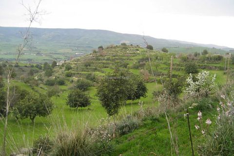 Landejendom i Modica, Ragusa, Modica - € 199.000 | Ref: L 173 - foto 17