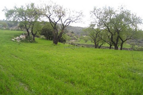 Landejendom i Modica, Ragusa, Modica - € 199.000 | Ref: L 173 - foto 24