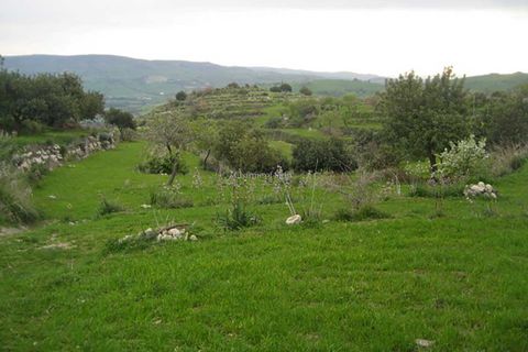 Landejendom i Modica, Ragusa, Modica - € 199.000 | Ref: L 173 - foto 28