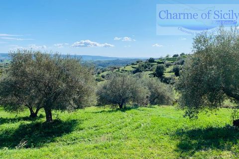 Landejendom i Modica, Ragusa, Modica - € 135.000 | Ref: L 1083 - foto 28