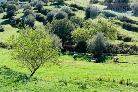 Landejendom i Modica, Ragusa, Modica - € 135.000 | Ref: L 1083 - foto 44