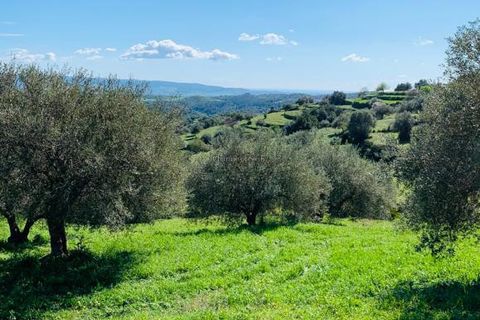 Landejendom i Modica, Ragusa, Modica - € 135.000 | Ref: L 1083 - foto 46