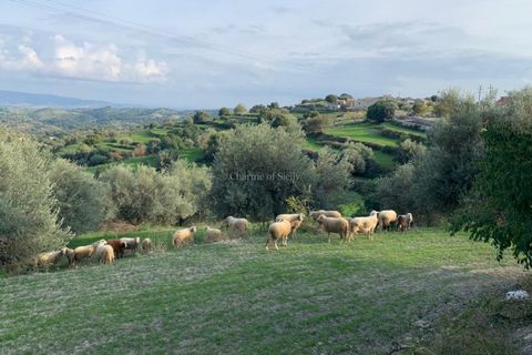 Landejendom i Modica, Ragusa, Modica - € 135.000 | Ref: L 1083 - foto 47