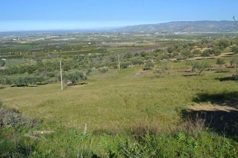 Helårsgrund i Noto, Siracusa, Noto - € 70.000 | Ref: L 1236 - foto 1