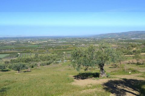 Helårsgrund i Noto, Siracusa, Noto - € 70.000 | Ref: L 1236 - foto 2