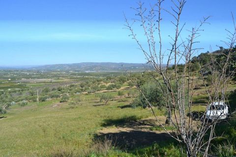 Helårsgrund i Noto, Siracusa, Noto - € 70.000 | Ref: L 1236 - foto 3