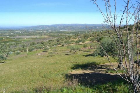 Helårsgrund i Noto, Siracusa, Noto - € 70.000 | Ref: L 1236 - foto 4