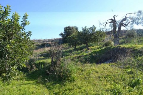 Helårsgrund i Noto, Siracusa, Noto - € 70.000 | Ref: L 1236 - foto 7