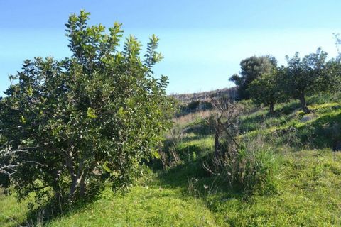 Helårsgrund i Noto, Siracusa, Noto - € 70.000 | Ref: L 1236 - foto 8