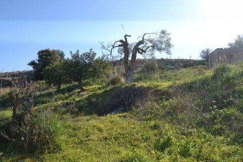 Helårsgrund i Noto, Siracusa, Noto - € 70.000 | Ref: L 1236 - foto 9