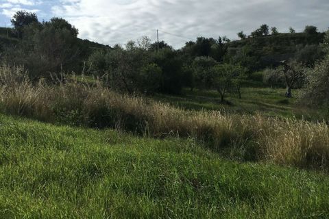 Helårsgrund i Noto, Siracusa, Noto - € 70.000 | Ref: L 1236 - foto 11