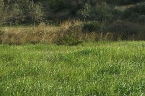 Helårsgrund i Noto, Siracusa, Noto - € 70.000 | Ref: L 1236 - foto 13