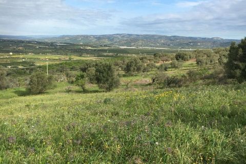 Helårsgrund i Noto, Siracusa, Noto - € 70.000 | Ref: L 1236 - foto 14
