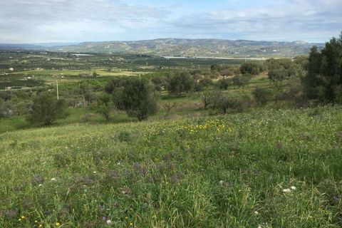 Helårsgrund i Noto, Siracusa, Noto - € 70.000 | Ref: L 1236 - foto 15