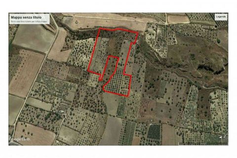 Helårsgrund i Noto, Siracusa, Noto - € 70.000 | Ref: L 1236 - foto 17