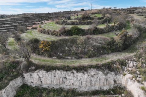 Terra a Giarratana, Ragusa, Giarratana - € 330.000 | Ref: L 1487 - foto 7