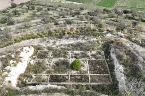Terra a Giarratana, Ragusa, Giarratana - € 330.000 | Ref: L 1487 - foto 8
