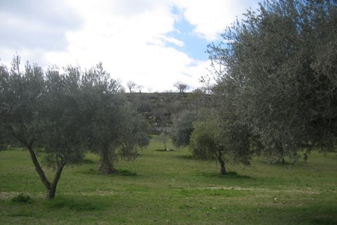 Terra a Giarratana, Ragusa, Giarratana - € 330.000 | Ref: L 1487 - foto 10