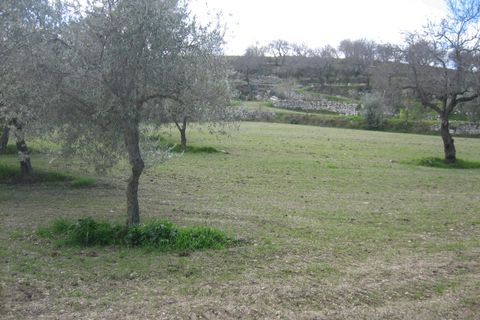 Terra a Giarratana, Ragusa, Giarratana - € 330.000 | Ref: L 1487 - foto 11