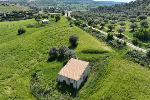 Landejendom i Ragusa, Ragusa, Ragusa - € 110.000 | Ref: L 1539 - foto 2