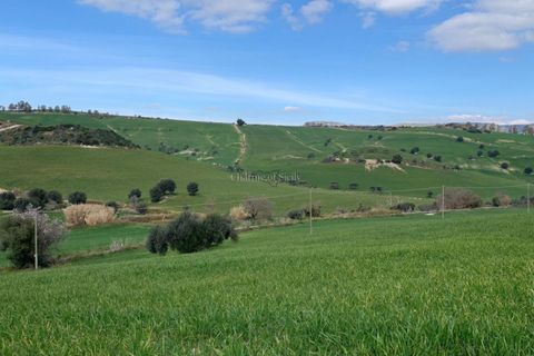 Landejendom i Ragusa, Ragusa, Ragusa - € 110.000 | Ref: L 1539 - foto 20