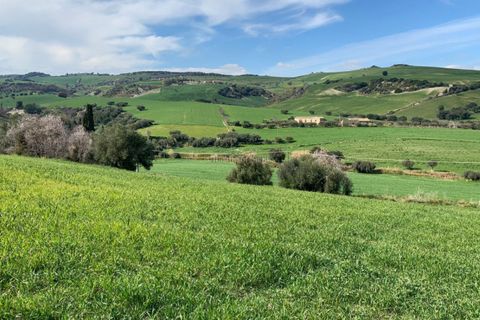 Landejendom i Ragusa, Ragusa, Ragusa - € 110.000 | Ref: L 1539 - foto 25