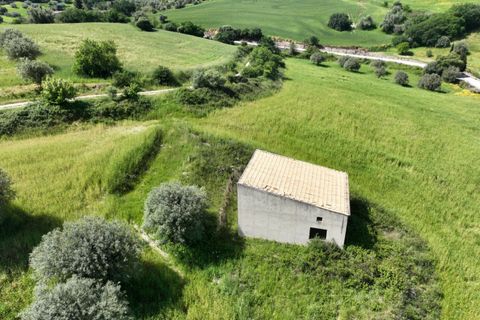 Landejendom i Ragusa, Ragusa, Ragusa - € 110.000 | Ref: L 1539 - foto 31