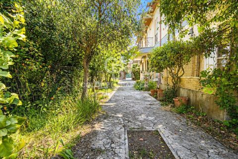 Villa i Tarquinia, Viterbo, Tarquinia - € 230.000 | Ref: CBI019-2184-29113 - foto 3