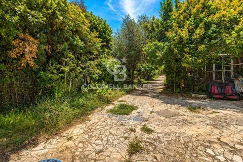 Villa i Tarquinia, Viterbo, Tarquinia - € 230.000 | Ref: CBI019-2184-29113 - foto 6