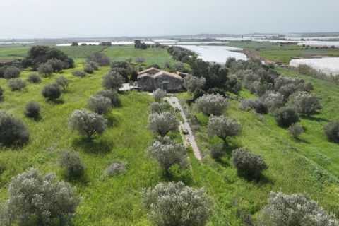 Villa i Noto, Siracusa, Noto - € 165.000 | Ref: L 1704 - foto 3