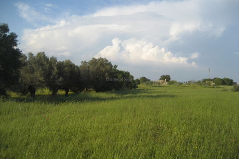 Villa i Noto, Siracusa, Noto - € 165.000 | Ref: L 1704 - foto 21