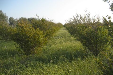 Villa i Noto, Siracusa, Noto - € 165.000 | Ref: L 1704 - foto 22