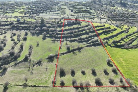 Villa i Ragusa, Ragusa, Ragusa - € 140.000 | Ref: L 1741 - foto 3