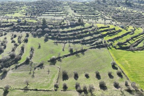 Villa i Ragusa, Ragusa, Ragusa - € 140.000 | Ref: L 1741 - foto 6