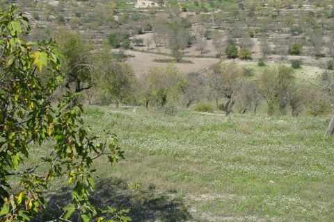 Villa i Ragusa, Ragusa, Ragusa - € 140.000 | Ref: L 1741 - foto 11