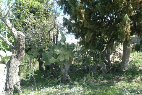 Villa i Ragusa, Ragusa, Ragusa - € 140.000 | Ref: L 1741 - foto 14