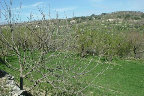 Villa i Ragusa, Ragusa, Ragusa - € 140.000 | Ref: L 1741 - foto 15
