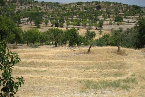 Villa i Ragusa, Ragusa, Ragusa - € 140.000 | Ref: L 1741 - foto 26