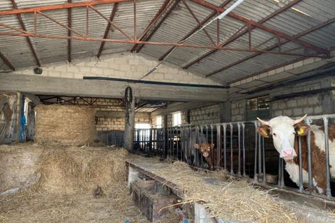Villa i Modica, Ragusa, Modica - € 190.000 | Ref: L 1622 - foto 24