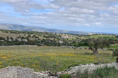 Landejendom i Rosolini, Siracusa, Rosolini - € 230.000 | Ref: RN 02 - foto 18